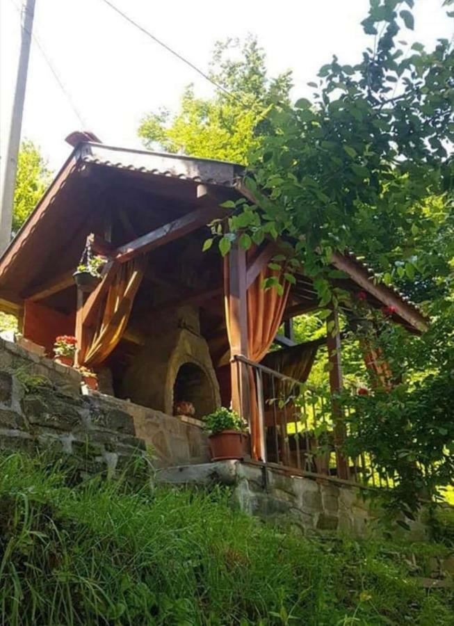 Вила Керенски Ribaritsa Exteriör bild