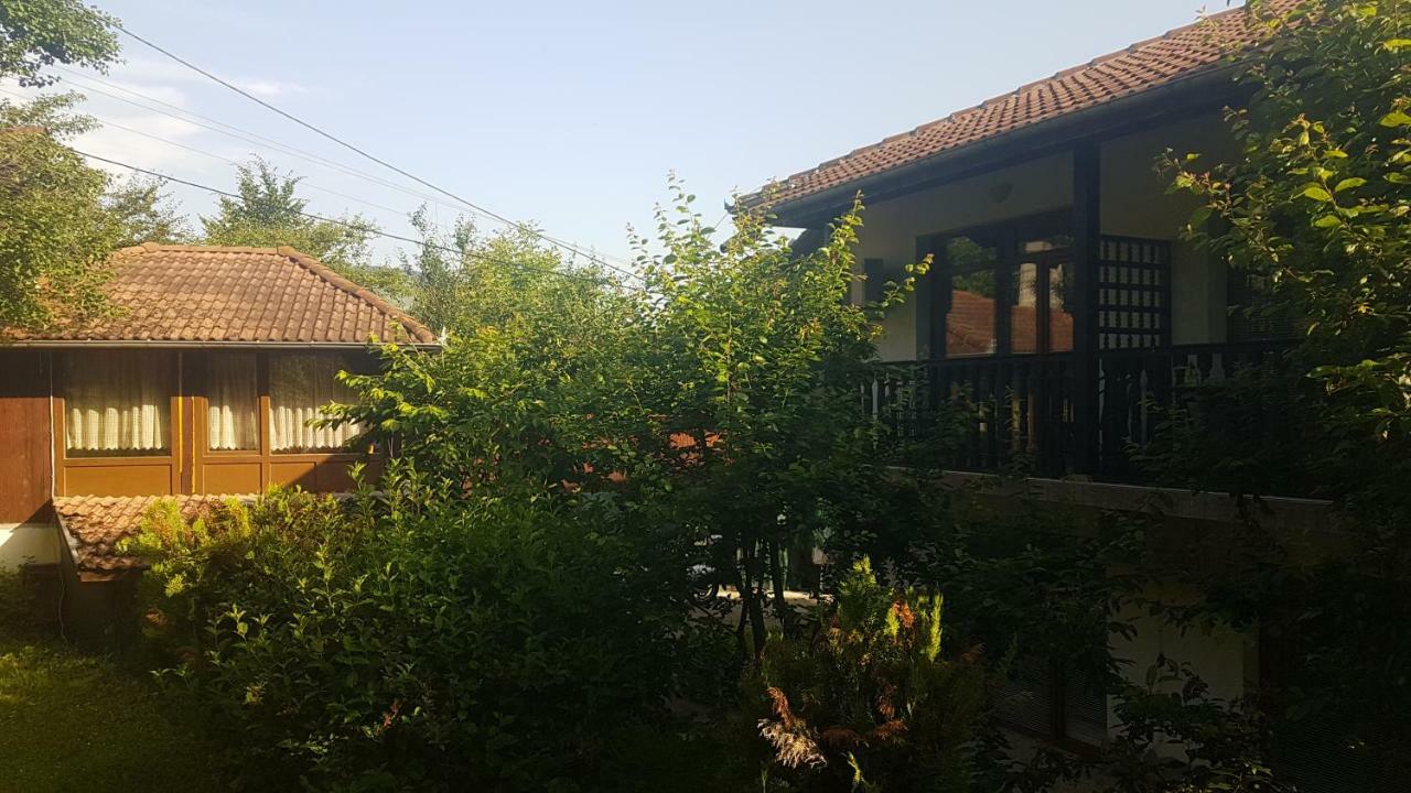 Вила Керенски Ribaritsa Exteriör bild